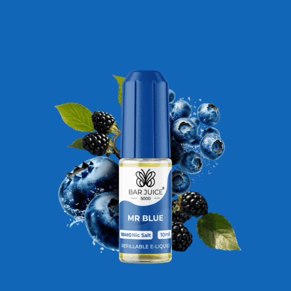 Bar Juice 5000 Salt Mr Blue